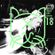 [Suara PodCats 018] Purple Disco Machine (Studio Mix) image