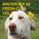 Winter Mix 93 - Fresh Cuts Volume 3 image