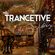 Mr. Trancetive - The Trance Library 004 image