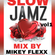 SLOW JAMZ VOL 1 MIXED BY MIKEY FLEXX image