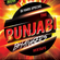 The Punjabi Bhangers - DJ VARS image