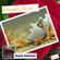 "Remembering The Past" Ft. My Sister Gina(Ting-oy)-(Compiled By Aneh Estuista) image