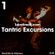Talent Mix #111 | Odysseus - Tantric Excursions  | 1daytrack.com image