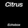Citrus #18 - Citrux // Echobox Radio 08/12/22 image
