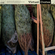Virtual Crates 185 - Norway Spruce image