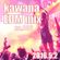 kawapa EDM mix no.006 image
