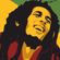 Bob Marley Tribute Mix image