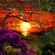 Rap & Hip-Hop Mix 2 [Explicit] image