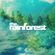 The Rainforest #3 with Aaron Revilla and Jack Pickerill image