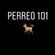 Perreo 101 image