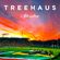 Treehaus Podcast #9 image