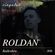ROLDAN - Singular UK Radioshow 006 (2018) image