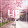 LIP Spring Mix - Mixed by UECHI - image