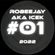 RobeeJay aka ICEk #01 (2022) image