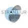 Stranjj Selections Guest Mix - November 2012 image