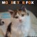 MOUSE THE FOX - SWEET CALINKA - VOL.57 - 10.10.2022 image