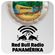 Red Bull Radio Panamérika 450 - Monográficos | Ondatrópica - Baile Bucanero image