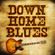 The Wurlitzer - Down Home Blues image