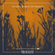 Twelve Hours Of Sunset - Folk Funk & Trippy Troubadours image