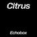 Citrus #21 "Wim de Bie Special" - Citrux // Echobox Radio 30/03/23 image