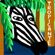 BAILE TROPICANTE @ RADIO SBSR#7 image