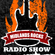 Noize Level Critical Feb 2012 - Midlands Rocks Radio image