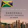 Dancehall - Country Badness Mix - Tommy Lee, Squash Kartel etc image