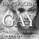 That's Fu@king Gay - The Gay Anthems Mix image