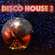 Disco House 2 image