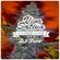 Viva Sativa Smokin' Session's - Turntablised Herbalist Culture - DJ Feva's 4-20 Mix - 2012 image