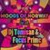 Moods of Norway feat. Dj Tomisan & Focus Prime image