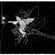 axis-xiana 20-21.11.22 image