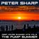 Peter Sharp - The PUMP - DEEP HOUSE SUMMER HITS vol.3 image