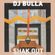 DJ BULLA - SHAK OUT image