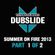 DUBSLIDE - Summer on Fire 2013 | Part 1 of 2 (05/2013) image