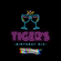 Tigers Twitch B-day Mix image