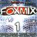 Best Of Discofox Nonstop Foxmix Vol. 1 image