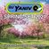 Dj Yaniv O - Spring Set 2021 image