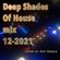 Deep Shades Of House mix (12-2021) image