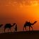 Richard Horn Dubai Lost In Desert Session Vol.1 image