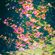 COUCHIES MIX 001 NOV '16 image