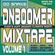 Snaxs DNBoomer Mix Volume 1 image