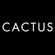 Live at Cactus Club Toronto Feb 2017 image