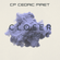 CP Cedric Piret - Closer 5 - June 2023 image