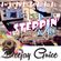 NEWSKOOL STEPPIN MIX image