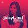 JuicyLand #199 image