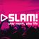 Fedde Le Grand - Live at SLAM! Mixmarathon 2017 image
