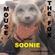 MOUSE THE FOX Invites SOONIE - VOL.02 - 19.03.2020 image