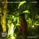 Paula Tape - Music for Plants ep.3 (Live on Radio Raheem)  image