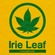 IRIE LEAF -Nice and Easy Juggling at Elixart, 2017 image